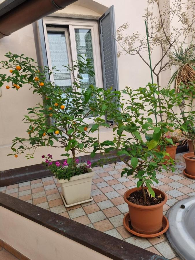 Apartments Via Roma Роверето Екстер'єр фото